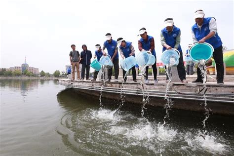 放魚|【環球薈報】「放魚日」全國放流逾8.5億條水生生物